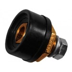 ����-31 ������