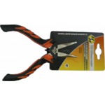 ����������� "����" "��"    0562