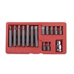 ����� ��� � ����� TORX, 15 ��������� (���������)    2651-�15z0