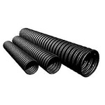 ����� 25 ���