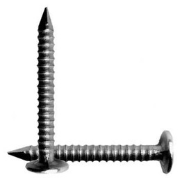 ������ 80 �� ���