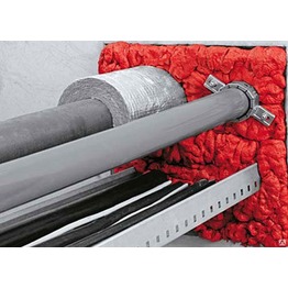 ���� �����������