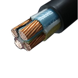 ������ ��� �� 4*25