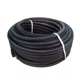 ����� 6 �� �������������