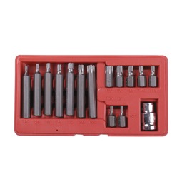 ����� ��� � ����� Torx, 15 ��������� (���������) 2651-�15z0