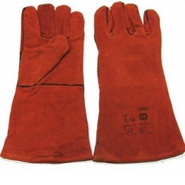 ����� �������� ������� � ���������� �00001896