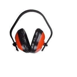 �������� �������� "��������" ������ 1117