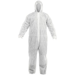 ������ (������) ������