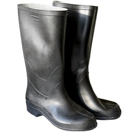 ������ ���������