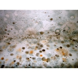 ���������� �� ������